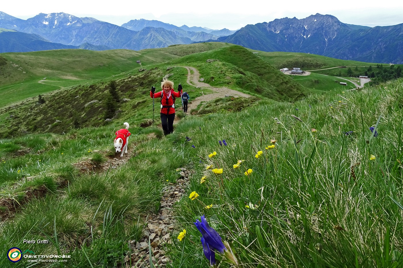 21 Alcuni fiori stanno chiusi al riparo dal vento freddo.JPG -                                